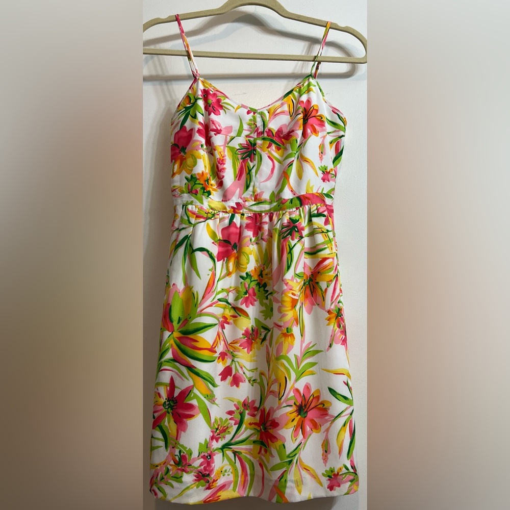 J.Crew Sun Dress 00